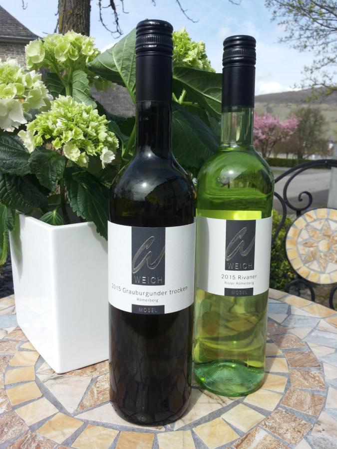 מלון Riol Weingut Weich מראה חיצוני תמונה